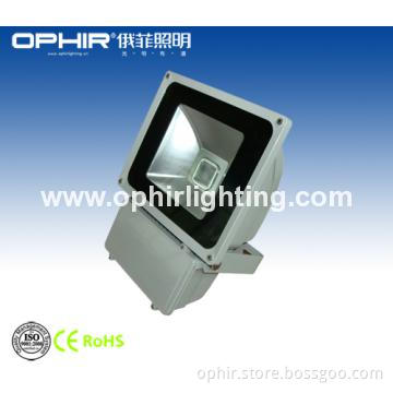 Stainless Steel Waterproof BridgeLux High Lumens Floodlight 100W